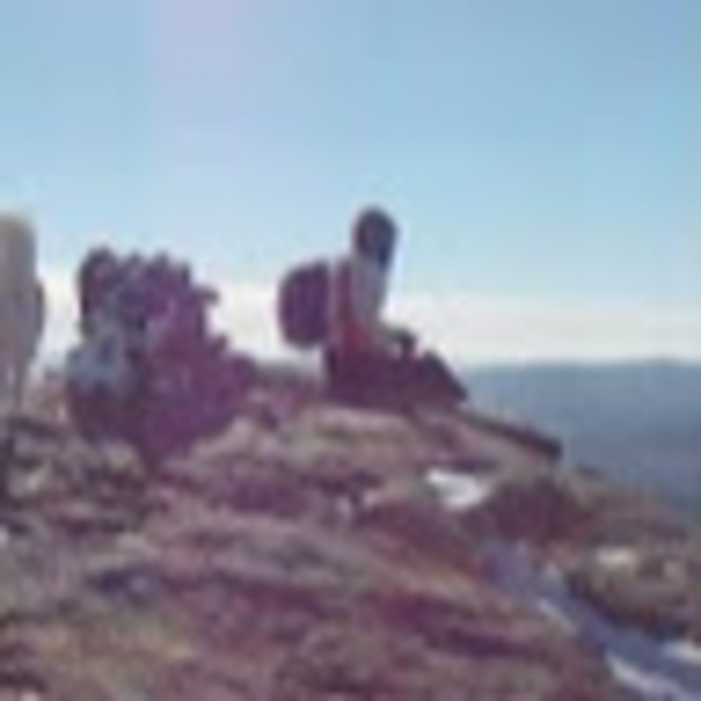 Meet your Posher, Iona